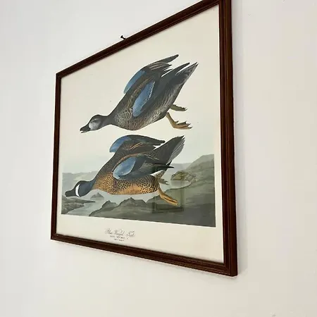 Otel Piccolo Etruria 2*