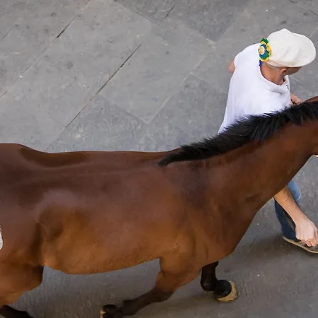 Hotel Piccolo Etruria