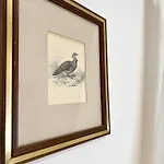Hotel Piccolo Etruria 2*