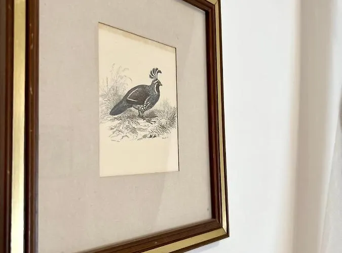 Hotel Piccolo Etruria 2*